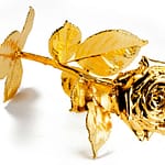 My take on the Gilded Rose kata Gold-dipped-rose